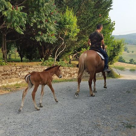 Agriturismo Corte Del Gallo Rivergaro Luaran gambar