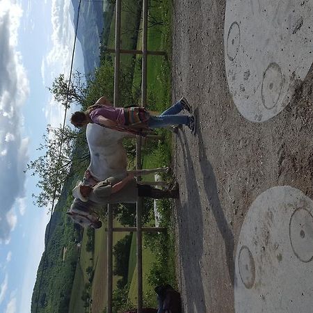 Agriturismo Corte Del Gallo Rivergaro Luaran gambar