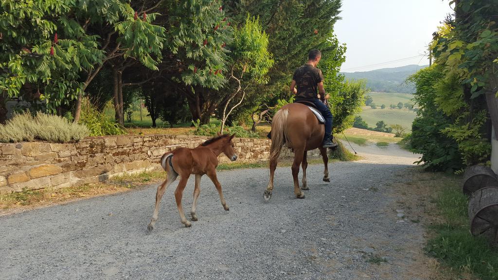 Agriturismo Corte Del Gallo Rivergaro Luaran gambar